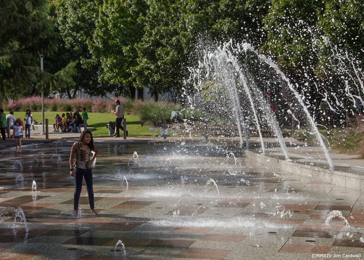 Discovery Green Houston