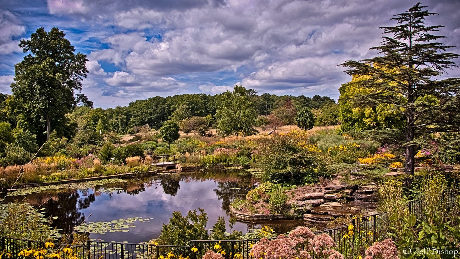 Digital Photo Lessons Atlanta, Digital Photo Lessons Boston, Digital Photo Lessons Chicago, Digital Photo Lessons Cleveland, Digital Photo Lessons Dallas, Digital Photo Lessons Denver, Digital Photo Lessons Detroit, Digital Photo Lessons Houston, Digital Photo Lessons Los Angeles, Digital Photo Lessons Miami, Digital Photo Lessons Minneapolis, Digital Photo Lessons New Jersey, Digital Photo Lessons New York, Digital Photo Lessons Orlando, Digital Photo Lessons Philadelphia, Digital Photo Lessons Phoenix, Digital Photo Lessons San Diego, Digital Photo Lessons San Francisco, Digital Photo Lessons Seattle, Digital Photo Lessons Tampa, Digital Photo Lessons Toronto, Digital Photo Lessons Tucson, Digital Photo Lessons Washington D.C., Digital Camera Lessons Atlanta, Digital Camera Lessons Boston, Digital Camera Lessons Chicago, Digital Camera Lessons Cleveland, Digital Camera Lessons Dallas, Digital Camera Lessons Denver, Digital Camera Lessons Detroit, Digital Camera Lessons Houston, Digital Camera Lessons Los Angeles, Digital Camera Lessons Miami, Digital Camera Lessons Minneapolis, Digital Camera Lessons New Jersey, Digital Camera Lessons New York, Digital Camera Lessons Orlando, Digital Camera Lessons Philadelphia, Digital Camera Lessons Phoenix, Digital Camera Lessons San Diego, Digital Camera Lessons San Francisco, Digital Camera Lessons Seattle, Digital Camera Lessons Tampa, Digital Camera Lessons Toronto, Digital Camera Lessons Tucson, Digital Camera Lessons Washington D.C., Photo Lessons Atlanta, Photo Lessons Boston, Photo Lessons Chicago, Photo Lessons Cleveland, Photo Lessons Dallas, Photo Lessons Denver, Photo Lessons Detroit, Photo Lessons Houston, Photo Lessons Los Angeles, Photo Lessons Miami, Photo Lessons Minneapolis, Photo Lessons New Jersey, Photo Lessons New York, Photo Lessons Orlando, Photo Lessons Philadelphia, Photo Lessons Phoenix, Photo Lessons San Diego, Photo Lessons San Francisco, Photo Lessons Seattle, Photo Lessons Tampa, Photo Lessons Toronto, Photo Lessons Tucson, Photo Lessons Washington D.C., Camera Class Atlanta, Camera Class Boston, Camera Class Chicago, Camera Class Cleveland, Camera Class Dallas, Camera Class Denver, Camera Class Detroit, Camera Class Houston, Camera Class Los Angeles, Camera Class Miami, Camera Class Minneapolis, Camera Class New Jersey, Camera Class New York, Camera Class Orlando, Camera Class Philadelphia, Camera Class Phoenix, Camera Class San Diego, Camera Class San Francisco, Camera Class Seattle, Camera Class Tampa, Camera Class Toronto, Camera Class Tucson, Camera Class Washington D.C., Digital Photo Lessons, Digital Camera Lessons, Photo Lessons, Camera Class, Photography Lessons, Digital Photography Lessons, Photography Workshop Atlanta, Photography Workshop Boston, Photography Workshop Chicago, Photography Workshop Cleveland, Photography Workshop Dallas, Photography Workshop Denver, Photography Workshop Detroit, Photography Workshop Houston, Photography Workshop Los Angeles, Photography Workshop Miami, Photography Workshop Minneapolis, Photography Workshop New Jersey, Photography Workshop New York, Photography Workshop Orlando, Photography Workshop Philadelphia, Photography Workshop Phoenix, Photography Workshop San Diego, Photography Workshop San Francisco, Photography Workshop Seattle, Photography Workshop Tampa, Photography Workshop Toronto, Photography Workshop Tucson, Photography Workshop Washington, D.C., Photo Workshop Atlanta. Photo Workshop Boston, Photo Workshop Chicago, Photo Workshop Cleveland, Photo Workshop Dallas, Photo Workshop Denver, Photo Workshop Detroit, Photo Workshop Houston, Photo Workshop Los Angeles, Photo Workshop Miami, Photo Workshop Minneapolis, Photo Workshop New Jersey, Photo Workshop New York, Photo Workshop Orlando, Photo Workshop Philadelphia, Photo Workshop Phoenix, Photo Workshop San Diego, Photo Workshop San Francisco, Photo Workshop Seattle, Photo Workshop Tampa, Photo Workshop Toronto, Photo Workshop Tucson, Photo Workshop Washington, D.C., Photo School Atlanta, Photo School Boston, Photo School Chicago, Photo School Cleveland, Photo School Dallas, Photo School Denver, Photo School Detroit, Photo School Houston, Photo School Los Angeles, Photo School Miami, Photo School Minneapolis, Photo School New Jersey, Photo School New York, Photo School Orlando, Photo School Philadelphia, Photo School Phoenix, Photo School San Diego, Photo School San Francisco, Photo School Seattle, Photo School Tampa, Photo School Toronto, Photo School Tucson, Photo School Washington, D.C., Photography School Atlanta, Photography School Boston, Photography School Chicago, Photography School Cleveland, Photography School Dallas, Photography School Denver, Photography School Detroit, Photography School Houston, Photography School Los Angeles, Photography School Miami, Photography School Minneapolis, Photography School New Jersey, Photography School New York, Photography School Orlando, Photography School Philadelphia, Photography School Phoenix, Photography School San Diego, Photography School San Francisco, Photography School Seattle, Photography School Tampa, Photography School Toronto, Photography School Tucson, Photography School Washington, D.C., Learn Digital Photography, Learn how to use your camera, How to use your camera, Best Photography Classes Atlanta, Best Photography Classes Boston, Best Photography Classes Chicago, Best Photography Classes Cleveland, Best Photography Classes Dallas, Best Photography Classes Denver, Best Potography Classes Detroit, Best Photography Classes Houston, Best Photography Classes Los Angeles, Best Photography Classes Miami, Best Photography Classes Minneapolis, Best Photography Classes New Jersey, Best Photography Classes New York, Best Photography Classes Orlando, Best Photography Classes Philadelphia, Best Photography Classes Phoenix, Best Photography Classes San Diego, Best Photography Classes San Francisco, Best Photography Classes Seattle, Best Photography Classes Tampa, Best Photography Classes Toronto, Best Photography Classes Tucson, Best Photography Classes Washington, D.C., Best Photo Schools Atlanta, Best Photo Schools Boston, Best Photo School Chicago, Best Photo Schools Cleveland, Best Photo Schools Dallas, Best Photo Schools Denver, Best Photo Schools Detroit, Best Photo Schools Houston, Best Photo Schools Los Angeles, Best Photo Schools Miami, Best Photo Schools Minneapolis, Best Photo Schools New Jersey, Best Photo Schools New York, Best Photo Schools Orlando, Best Photo Schools Philadelphia, Best Photo Schools Phoenix, Best Photo Schools San Diego, Best Photo Schools San Francisco, Best Photo Schools Seattle, Best Photo Schools Tampa, Best Photo Schools Toronto, Best Photo Schools Tucson, Best Photo Schools Washington, D.C., Best Photo Classes Atlanta, Best Photo Classes Boston, Best Photo Classes Chicago, Best Photo Classes Cleveland, Best Photo Classes Dallas, Best Photo Classes Denver, Best Photo Classes Detroit, Best Photo Classes Houston, Best Photo Classes Hudson Valley, Best Photo Classes Los Angeles, Best Photo Classes Miami, Best Photo Classes Minneaplois, Best Photo Classes New Jersey, Best Photo Classes New York, Best Photo Classes Orlando, Best Photo Classes Philadelphia, Best Photo Classes Phoenix, Best Photo Classes San Diego, Best Photo Classes San Francisco, Best Photo Classes Seattle, Best Photo Classes Tampa, Best Photo Classes Toronto, Best Photo Classes Tucson, Best Photo Classes Washington, D.C., Top Photo Classes Atlanta, Top Photo Classes Boston, Top Photo Classes Chicago, Top Photo Classes Cleveland, Top Photo Classes Dallas, Top Photo Classes Denver, Top Photo Classes Detroit, Top Photo Classes Houston, Top Photo Classes Hudson Valley, Top Photo Classes Los Angeles, Top Photo Classes Miami, Top Photo Classes Minneapolis, Top Photo Classes New Jersey, Top Photo Classes New York, Top Photo Classes Orlando, Top Photo Classes Philadelphia, Top Photo Classes Phoenix, Top Photo Classes San Diego, Top Photo Classes San Francisco, Top Photo Classes Seattle, Top Photo Classes Tampa, Top Photo Classes Toronto, Top Photo Classes Tucson, Top Photo Classes Washington, D.C., Beginner's Photo Classes Atlanta, Beginner's Photo Classes Boston, Beginner's Photo Classes Chicago, Beginner's Photo Classes Cleveland, Beginner's Photo Classes Dallas, Beginner's Photo Classes Denver, Beginner's Photo Classes Detroit, Beginner's Photo Classes Houston, Beginner's Photo Classes Hudson Valley, Beginner's Photo Classes Los Angeles, Beginner's Photo Classes Miami, Beginner's Photo Classes Minneapolis, Beginner's Photo Classes New Jersey, Beginner's Photo Classes New York, Beginner's Photo Classes Orlando, Beginner's Photo Classes Philadelphia, Beginner's Photo Classes Phoenix, Beginner's Photo Classes San Diego, Beginner's Photo Classes San Francisco, Beginner's Photo Classes Seattle, Beginner's Photo Classes Tampa, Beginner's Photo Classes Toronto, Beginner's Photo Classes Tucson, Beginner's Photo Classes Washington, D.C., Weekend Photo Classes Atlanta, Weekend Photo Classes Boston, Weekend Photo Classes Chicago, Weekend Photo Classes Cleveland, Weekend Photo Classes Dallas, Weekend Photo Classes Denver, Weekend Photo Classes Detroit, Weekend Photo Classes Houston, Weekend Photo Classes Hudson Valley, Weekend Photo Classes Los Angeles, Weekend Photo Classes Miami, Weekend Photo Classes Minneapolis, Weekend Photo Classes New Jersey, Weekend Photo Classes New York, Weekend Photo Classes Orlando, Weekend Photo Classes Philadelphia, Weekend Photo Classes Phoenix, Weekend Photo Classes San Diego, Weekend Photo Classes San Francisco, Weekend Photo Classes Seattle, Weekend Photo Classes Tampa, Weekend Photo Classes Toronto, Weekend Photo Classes Tucson, Weekend Photo Classes Washington, D.C., Weekend Photo Workshops Atlanta, Weekend Photo Workshops Boston, Weekend Photo Workshops Chicago, Weekend Photo Workshops Cleveland, Weekend Photo Workshops Dallas, Weekend Photo Workshops Denver, Weekend Photo Workshops Detroit, Weekend Photo Workshops Houston, Weekend Photo Workshops Hudson Valley, Weekend Photo Workshops Los Angeles, Weekend Photo Workshops Miami, Weekend Photo Workshops Minneapolis, Weekend Photo Workshops New Jersey, Weekend Photo Workshops New York, Weekend Photo Workshops Orlando, Weekend Photo Workshops Philadelphia, Weekend Photo Workshops Phoenix, Weekend Photo Workshops San Diego, Weekend Photo Workshops San Francisco, Weekend Photo Workshops Seattle, Weekend Photo Workshops Tampa, Weekend Photo Workshops Toronto, Weekend Photo Workshops Tucson, Weekend Photo Workshops Washington, D.C., Photo Hobbyist Atlanta, Photo Hobbyist Boston, Photo Hobbyist Chicago, Photo Hobbyist Cleveland, Photo Hobbyist Dallas, Photo Hobbyist Denver, Photo Hobbyist Detroit, Photo Hobbyist Houston, Photo Hobbyist Hudson Valley, Photo Hobbyist Los Angeles, Photo Hobbyist Miami, Photo Hobbyist Minneapolis, Photo Hobbyist New Jersey, Photo Hobbyist New York, Photo Hobbyist Orlando, Photo Hobbyist Philadelphia, Photo Hobbyist Phoenix, Photo Hobbyist San Diego, Photo Hobbyist San Francisco, Photo Hobbyist Seattle, Photo Hobbyist Tampa, Photo Hobbyist Toronto, Photo Hobbyist Tucson, Photo Hobbyist Washington, D.C., Learn To Use Your Camera In Atlanta, Learn To Use Your Camera In Boston, Learn To Use Your Camera In Chicago, Learn To Use Your Camera In Cleveland, Learn To Use Your Camera In Dallas, Learn To Use Your Camera In Denver, Learn To Use Your Camera In Detroit, Learn To Use Your Camera In Houston, Learn To Use Your Camera In Hudson Valley, Learn To Use Your Camera In Los Angeles, Learn To Use Your Camera In Miami, Learn To Use Your Camera In Minneapolis, Learn To Use Your Camera In New Jersey, Learn To Use Your Camera In New York, Learn To Use Your Camera In Orlando, Learn To Use Your Camera In Philadelphia, Learn To Use Your Camera In Phoenix, Learn To Use Your Camera In San Diego, Learn To Use Your Camera In San Francisco, Learn To Use Your Camera In Seattle, Learn To Use Your Camera In Tampa, Learn To Use Your Camera In Toronto, Learn To Use Your Camera In Tucson, Learn To Use Your Camera In Washington, D.C.,Best Photo Classes Atlanta, Best Photo Classes Boston, Best Photo Classes Chicago, Best Photo Classes Cleveland, Best Photo Classes Dallas, Best Photo Classes Denver, Best Photo Classes Detroit, Best Photo Classes Houston, Best Photo Classes Hudson Valley, Best Photo Classes Los Angeles, Best Photo Classes Miami, Best Photo Classes Minneaplois, Best Photo Classes New Jersey, Best Photo Classes New York, Best Photo Classes Orlando, Best Photo Classes Philadelphia, Best Photo Classes Phoenix, Best Photo Classes San Diego, Best Photo Classes San Francisco, Best Photo Classes Seattle, Best Photo Classes Tampa, Best Photo Classes Toronto, Best Photo Classes Tucson, Best Photo Classes Washington, D.C., Top Photo Classes Atlanta, Top Photo Classes Boston, Top Photo Classes Chicago, Top Photo Classes Cleveland, Top Photo Classes Dallas, Top Photo Classes Denver, Top Photo Classes Detroit, Top Photo Classes Houston, Top Photo Classes Hudson Valley, Top Photo Classes Los Angeles, Top Photo Classes Miami, Top Photo Classes Minneapolis, Top Photo Classes New Jersey, Top Photo Classes New York, Top Photo Classes Orlando, Top Photo Classes Philadelphia, Top Photo Classes Phoenix, Top Photo Classes San Diego, Top Photo Classes San Francisco, Top Photo Classes Seattle, Top Photo Classes Tampa, Top Photo Classes Toronto, Top Photo Classes Tucson, Top Photo Classes Washington, D.C., Beginner's Photo Classes Atlanta, Beginner's Photo Classes Boston, Beginner's Photo Classes Chicago, Beginner's Photo Classes Cleveland, Beginner's Photo Classes Dallas, Beginner's Photo Classes Denver, Beginner's Photo Classes Detroit, Beginner's Photo Classes Houston, Beginner's Photo Classes Hudson Valley, Beginner's Photo Classes Los Angeles, Beginner's Photo Classes Miami, Beginner's Photo Classes Minneapolis, Beginner's Photo Classes New Jersey, Beginner's Photo Classes New York, Beginner's Photo Classes Orlando, Beginner's Photo Classes Philadelphia, Beginner's Photo Classes Phoenix, Beginner's Photo Classes San Diego, Beginner's Photo Classes San Francisco, Beginner's Photo Classes Seattle, Beginner's Photo Classes Tampa, Beginner's Photo Classes Toronto, Beginner's Photo Classes Tucson, Beginner's Photo Classes Washington, D.C., Weekend Photo Classes Atlanta, Weekend Photo Classes Boston, Weekend Photo Classes Chicago, Weekend Photo Classes Cleveland, Weekend Photo Classes Dallas, Weekend Photo Classes Denver, Weekend Photo Classes Detroit, Weekend Photo Classes Houston, Weekend Photo Classes Hudson Valley, Weekend Photo Classes Los Angeles, Weekend Photo Classes Miami, Weekend Photo Classes Minneapolis, Weekend Photo Classes New Jersey, Weekend Photo Classes New York, Weekend Photo Classes Orlando, Weekend Photo Classes Philadelphia, Weekend Photo Classes Phoenix, Weekend Photo Classes San Diego, Weekend Photo Classes San Francisco, Weekend Photo Classes Seattle, Weekend Photo Classes Tampa, Weekend Photo Classes Toronto, Weekend Photo Classes Tucson, Weekend Photo Classes Washington, D.C., Weekend Photo Workshops Atlanta, Weekend Photo Workshops Boston, Weekend Photo Workshops Chicago, Weekend Photo Workshops Cleveland, Weekend Photo Workshops Dallas, Weekend Photo Workshops Denver, Weekend Photo Workshops Detroit, Weekend Photo Workshops Houston, Weekend Photo Workshops Hudson Valley, Weekend Photo Workshops Los Angeles, Weekend Photo Workshops Miami, Weekend Photo Workshops Minneapolis, Weekend Photo Workshops New Jersey, Weekend Photo Workshops New York, Weekend Photo Workshops Orlando, Weekend Photo Workshops Philadelphia, Weekend Photo Workshops Phoenix, Weekend Photo Workshops San Diego, Weekend Photo Workshops San Francisco, Weekend Photo Workshops Seattle, Weekend Photo Workshops Tampa, Weekend Photo Workshops Toronto, Weekend Photo Workshops Tucson, Weekend Photo Workshops Washington, D.C., Photo Hobbyist Atlanta, Photo Hobbyist Boston, Photo Hobbyist Chicago, Photo Hobbyist Cleveland, Photo Hobbyist Dallas, Photo Hobbyist Denver, Photo Hobbyist Detroit, Photo Hobbyist Houston, Photo Hobbyist Hudson Valley, Photo Hobbyist Los Angeles, Photo Hobbyist Miami, Photo Hobbyist Minneapolis, Photo Hobbyist New Jersey, Photo Hobbyist New York, Photo Hobbyist Orlando, Photo Hobbyist Philadelphia, Photo Hobbyist Phoenix, Photo Hobbyist San Diego, Photo Hobbyist San Francisco, Photo Hobbyist Seattle, Photo Hobbyist Tampa, Photo Hobbyist Toronto, Photo Hobbyist Tucson, Photo Hobbyist Washington, D.C., Learn To Use Your Camera In Atlanta, Learn To Use Your Camera In Boston, Learn To Use Your Camera In Chicago, Learn To Use Your Camera In Cleveland, Learn To Use Your Camera In Dallas, Learn To Use Your Camera In Denver, Learn To Use Your Camera In Detroit, Learn To Use Your Camera In Houston, Learn To Use Your Camera In Hudson Valley, Learn To Use Your Camera In Los Angeles, Learn To Use Your Camera In Miami, Learn To Use Your Camera In Minneapolis, Learn To Use Your Camera In New Jersey, Learn To Use Your Camera In New York, Learn To Use Your Camera In Orlando, Learn To Use Your Camera In Philadelphia, Learn To Use Your Camera In Phoenix, Learn To Use Your Camera In San Diego, Learn To Use Your Camera In San Francisco, Learn To Use Your Camera In Seattle, Learn To Use Your Camera In Tampa, Learn To Use Your Camera In Toronto, Learn To Use Your Camera In Tucson, Learn To Use Your Camera In Washington, D.C., Photography Teachers in Atlanta, Photography Teachers Boston, Photography Teachers Chicago, Photography Teachers Cleveland, Photography Teachers Dallas, Photography Teachers Denver, Photography Teachers Detroit, Photography Teachers Houston, Photography Teachers Hudson Valley, Photography Teachers Los Angeles, Photography Teachers Miami, Photography Teachers Minneapolis, Photography Teachers New Jersey, Photography Teachers New York, Photography Teachers Orlando, Photography Teachers Philadelphia, Photography Teachers Phoenix, Photography Teachers San Diego, Photography Teachers San Francisco, Photography Teachers Seattle, Photography Teachers Tampa, Photography Teachers Tucson, Photography Teachers Toronto, Photography Teachers Washington D.C., Camera classes in Atlanta, Camera classes in Boston, Camera classes in Chicago, Camera classes in Dallas, Camera classes in Denver, Camera classes in Detroit, Camera classes in Houston, Camera classes in Hudson Valley, Camera classes in Los Angeles, Camera classes in Miami, Camera classes in Minneapolis, Camera classes in New Jersey, Camera classes in New York, Camera classes in Orlando, Camera classes in Philadelphia, Camera classes in Phoenix, Camera classes in San Diego, Camera classes in San Francisco, Camera classes in Seattle, Camera classes in Tampa, Camera classes in Toronto, Camera classes in Tucson, Camera classes in Washington D.C., Photo Lessons in Atlanta, Photo Lessons in Boston, Photo Lessons in Chicago, Photo Lessons in Dallas, Photo Lessons in Denver, Photo Lessons in Detroit, Photo Lessons in Houston, Photo Lessons in Hudson Valley, Photo Lessons in Los Angeles, Photo Lessons in Miami, Photo Lessons in Minneapolis, Photo Lessons in New Jersey, Photo Lessons in New York, Photo Lessons in Orlando, Photo Lessons in Philadelphia, Photo Lessons in Phoenix, Photo Lessons in San Diego, Photo Lessons in San Francisco, Photo Lessons in Seattle, Photo Lessons in Tampa, Photo Lessons in Toronto, Photo Lessons in Tucson, Photo Lessons in Washington D.C.,