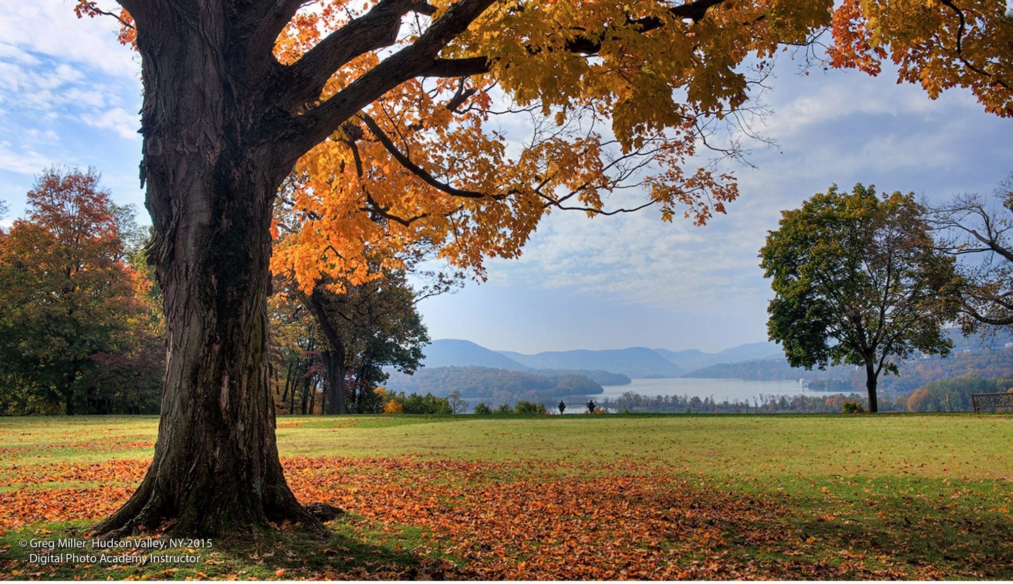 Digital Photo Lessons Atlanta, Digital Photo Lessons Boston, Digital Photo Lessons Chicago, Digital Photo Lessons Cleveland, Digital Photo Lessons Dallas, Digital Photo Lessons Denver, Digital Photo Lessons Detroit, Digital Photo Lessons Houston, Digital Photo Lessons Los Angeles, Digital Photo Lessons Miami, Digital Photo Lessons Minneapolis, Digital Photo Lessons New Jersey, Digital Photo Lessons New York, Digital Photo Lessons Orlando, Digital Photo Lessons Philadelphia, Digital Photo Lessons Phoenix, Digital Photo Lessons San Diego, Digital Photo Lessons San Francisco, Digital Photo Lessons Seattle, Digital Photo Lessons Tampa, Digital Photo Lessons Toronto, Digital Photo Lessons Tucson, Digital Photo Lessons Washington D.C., Digital Camera Lessons Atlanta, Digital Camera Lessons Boston, Digital Camera Lessons Chicago, Digital Camera Lessons Cleveland, Digital Camera Lessons Dallas, Digital Camera Lessons Denver, Digital Camera Lessons Detroit, Digital Camera Lessons Houston, Digital Camera Lessons Los Angeles, Digital Camera Lessons Miami, Digital Camera Lessons Minneapolis, Digital Camera Lessons New Jersey, Digital Camera Lessons New York, Digital Camera Lessons Orlando, Digital Camera Lessons Philadelphia, Digital Camera Lessons Phoenix, Digital Camera Lessons San Diego, Digital Camera Lessons San Francisco, Digital Camera Lessons Seattle, Digital Camera Lessons Tampa, Digital Camera Lessons Toronto, Digital Camera Lessons Tucson, Digital Camera Lessons Washington D.C., Photo Lessons Atlanta, Photo Lessons Boston, Photo Lessons Chicago, Photo Lessons Cleveland, Photo Lessons Dallas, Photo Lessons Denver, Photo Lessons Detroit, Photo Lessons Houston, Photo Lessons Los Angeles, Photo Lessons Miami, Photo Lessons Minneapolis, Photo Lessons New Jersey, Photo Lessons New York, Photo Lessons Orlando, Photo Lessons Philadelphia, Photo Lessons Phoenix, Photo Lessons San Diego, Photo Lessons San Francisco, Photo Lessons Seattle, Photo Lessons Tampa, Photo Lessons Toronto, Photo Lessons Tucson, Photo Lessons Washington D.C., Camera Class Atlanta, Camera Class Boston, Camera Class Chicago, Camera Class Cleveland, Camera Class Dallas, Camera Class Denver, Camera Class Detroit, Camera Class Houston, Camera Class Los Angeles, Camera Class Miami, Camera Class Minneapolis, Camera Class New Jersey, Camera Class New York, Camera Class Orlando, Camera Class Philadelphia, Camera Class Phoenix, Camera Class San Diego, Camera Class San Francisco, Camera Class Seattle, Camera Class Tampa, Camera Class Toronto, Camera Class Tucson, Camera Class Washington D.C., Digital Photo Lessons, Digital Camera Lessons, Photo Lessons, Camera Class, Photography Lessons, Digital Photography Lessons, Photography Workshop Atlanta, Photography Workshop Boston, Photography Workshop Chicago, Photography Workshop Cleveland, Photography Workshop Dallas, Photography Workshop Denver, Photography Workshop Detroit, Photography Workshop Houston, Photography Workshop Los Angeles, Photography Workshop Miami, Photography Workshop Minneapolis, Photography Workshop New Jersey, Photography Workshop New York, Photography Workshop Orlando, Photography Workshop Philadelphia, Photography Workshop Phoenix, Photography Workshop San Diego, Photography Workshop San Francisco, Photography Workshop Seattle, Photography Workshop Tampa, Photography Workshop Toronto, Photography Workshop Tucson, Photography Workshop Washington, D.C., Photo Workshop Atlanta. Photo Workshop Boston, Photo Workshop Chicago, Photo Workshop Cleveland, Photo Workshop Dallas, Photo Workshop Denver, Photo Workshop Detroit, Photo Workshop Houston, Photo Workshop Los Angeles, Photo Workshop Miami, Photo Workshop Minneapolis, Photo Workshop New Jersey, Photo Workshop New York, Photo Workshop Orlando, Photo Workshop Philadelphia, Photo Workshop Phoenix, Photo Workshop San Diego, Photo Workshop San Francisco, Photo Workshop Seattle, Photo Workshop Tampa, Photo Workshop Toronto, Photo Workshop Tucson, Photo Workshop Washington, D.C., Photo School Atlanta, Photo School Boston, Photo School Chicago, Photo School Cleveland, Photo School Dallas, Photo School Denver, Photo School Detroit, Photo School Houston, Photo School Los Angeles, Photo School Miami, Photo School Minneapolis, Photo School New Jersey, Photo School New York, Photo School Orlando, Photo School Philadelphia, Photo School Phoenix, Photo School San Diego, Photo School San Francisco, Photo School Seattle, Photo School Tampa, Photo School Toronto, Photo School Tucson, Photo School Washington, D.C., Photography School Atlanta, Photography School Boston, Photography School Chicago, Photography School Cleveland, Photography School Dallas, Photography School Denver, Photography School Detroit, Photography School Houston, Photography School Los Angeles, Photography School Miami, Photography School Minneapolis, Photography School New Jersey, Photography School New York, Photography School Orlando, Photography School Philadelphia, Photography School Phoenix, Photography School San Diego, Photography School San Francisco, Photography School Seattle, Photography School Tampa, Photography School Toronto, Photography School Tucson, Photography School Washington, D.C., Learn Digital Photography, Learn how to use your camera, How to use your camera, Best Photography Classes Atlanta, Best Photography Classes Boston, Best Photography Classes Chicago, Best Photography Classes Cleveland, Best Photography Classes Dallas, Best Photography Classes Denver, Best Potography Classes Detroit, Best Photography Classes Houston, Best Photography Classes Los Angeles, Best Photography Classes Miami, Best Photography Classes Minneapolis, Best Photography Classes New Jersey, Best Photography Classes New York, Best Photography Classes Orlando, Best Photography Classes Philadelphia, Best Photography Classes Phoenix, Best Photography Classes San Diego, Best Photography Classes San Francisco, Best Photography Classes Seattle, Best Photography Classes Tampa, Best Photography Classes Toronto, Best Photography Classes Tucson, Best Photography Classes Washington, D.C., Best Photo Schools Atlanta, Best Photo Schools Boston, Best Photo School Chicago, Best Photo Schools Cleveland, Best Photo Schools Dallas, Best Photo Schools Denver, Best Photo Schools Detroit, Best Photo Schools Houston, Best Photo Schools Los Angeles, Best Photo Schools Miami, Best Photo Schools Minneapolis, Best Photo Schools New Jersey, Best Photo Schools New York, Best Photo Schools Orlando, Best Photo Schools Philadelphia, Best Photo Schools Phoenix, Best Photo Schools San Diego, Best Photo Schools San Francisco, Best Photo Schools Seattle, Best Photo Schools Tampa, Best Photo Schools Toronto, Best Photo Schools Tucson, Best Photo Schools Washington, D.C.